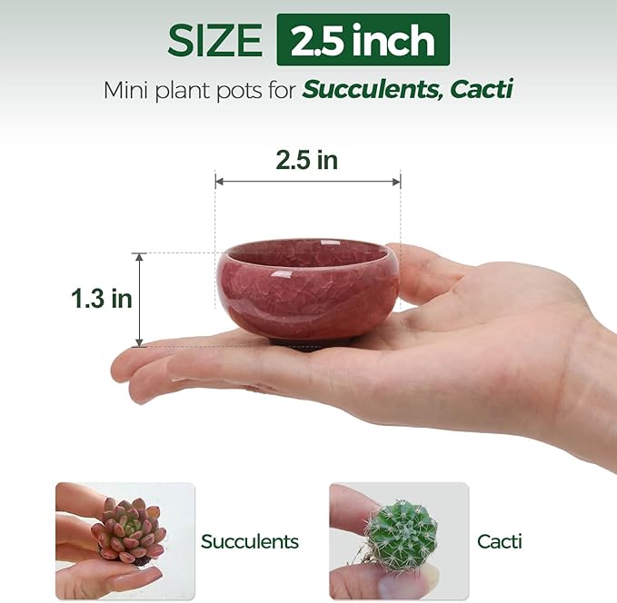 T4U 2.5 Inch Small Ceramic Succulent Planter Pot with Drainage Hole Set of 6, Ice Crack Glaze Plant Container for Cactus, Gardening Plant Gifts for Women Mom Aunt Home Office Decor