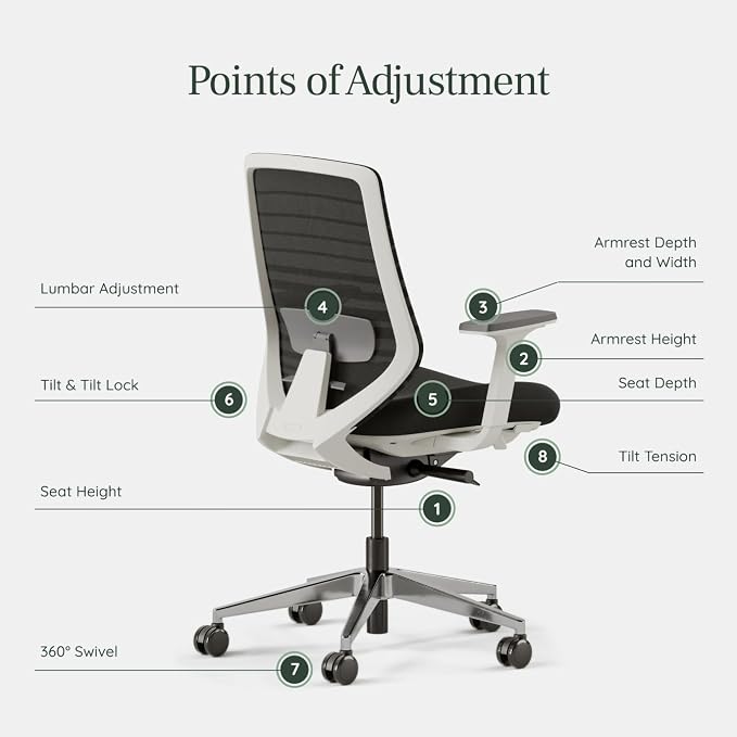 Branch Ergonomic Chair, Versatile Desk Chair with Adjustable Lumbar Support | Breathable Mesh Backrest and Smooth Wheels, Experience Optimal Comfort and Support, Black