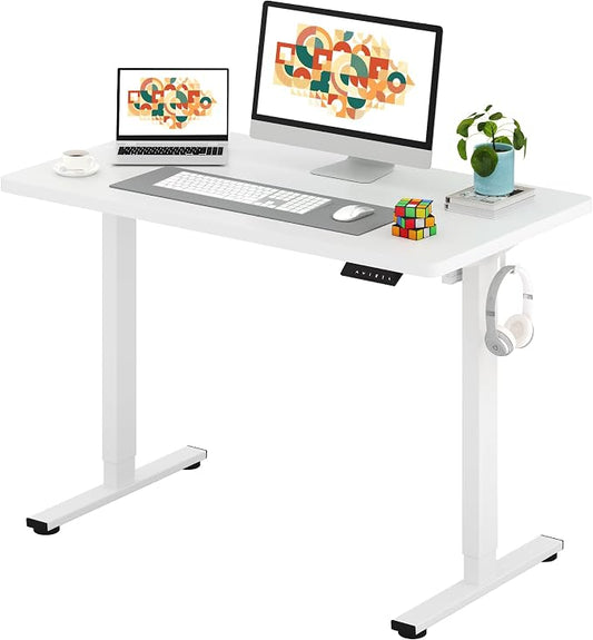 SANODESK One-Piece Electric Standing Desk, Seamless 48 x 24'' Ergonomic Height Adjustable Sit Stand Desk with Memory Presets for Home Office Computer Workstation, White Frame/White Top
