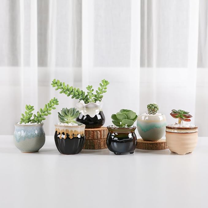 T4U Mini Ceramic Succulent Pots Set of 6, Round Tiny Planters with Drainage Holes and Grid Pads, Small Cactus Flower Pots for Windowsill Desk Decor, Gift for Plant Lovers