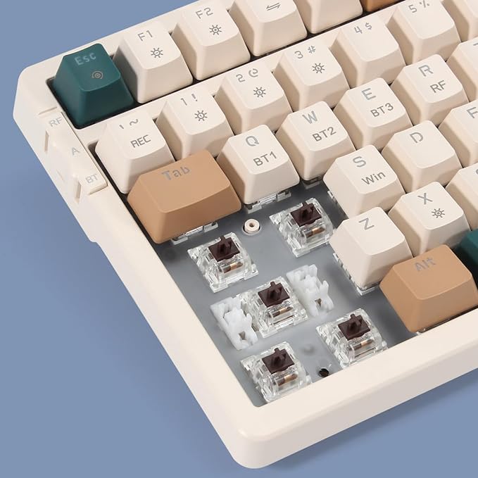 Merdia Wireless Mechanical Keyboard, Triple Mode 2.4G/USB-C/BT Gaming Keyboards 100 Keys RGB Backlit, Brown Switch Rechargeable | Brown Combo