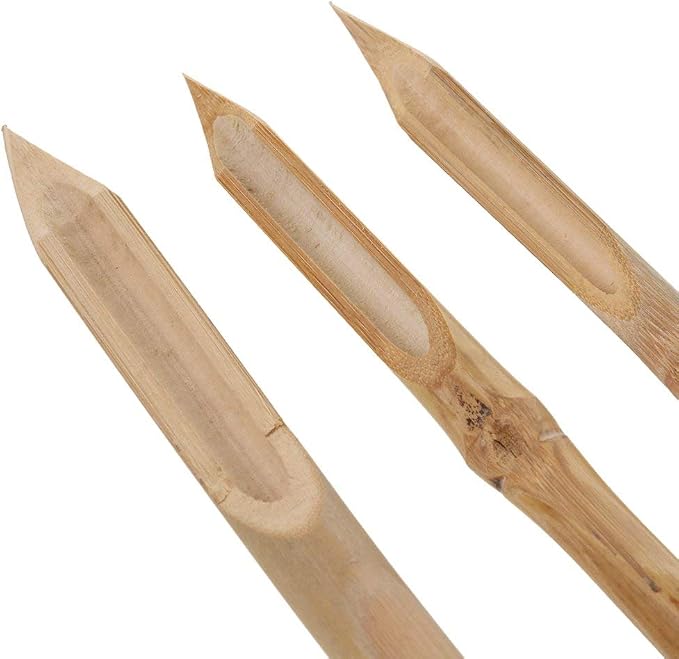 COMIART 3 Pcs Double Head Hard Strong Bamboo Reed Pens Pottery Ceramic Shaping Tools Polymer Clay Tool