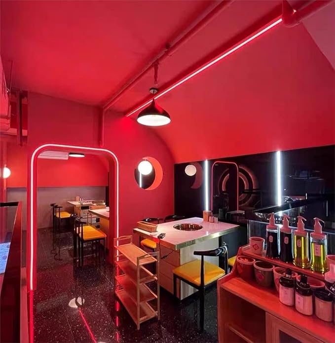 iNextStation 12V Red LED Strip Lights 16.4FT, Flexible Silicone Neon Rope Light, IP65 Waterproof LED Light Strip, Cuttable, Neon Light Strip for Cabinet, Ceiling, Wall, Bedroom, Kitchen(No Adapter)