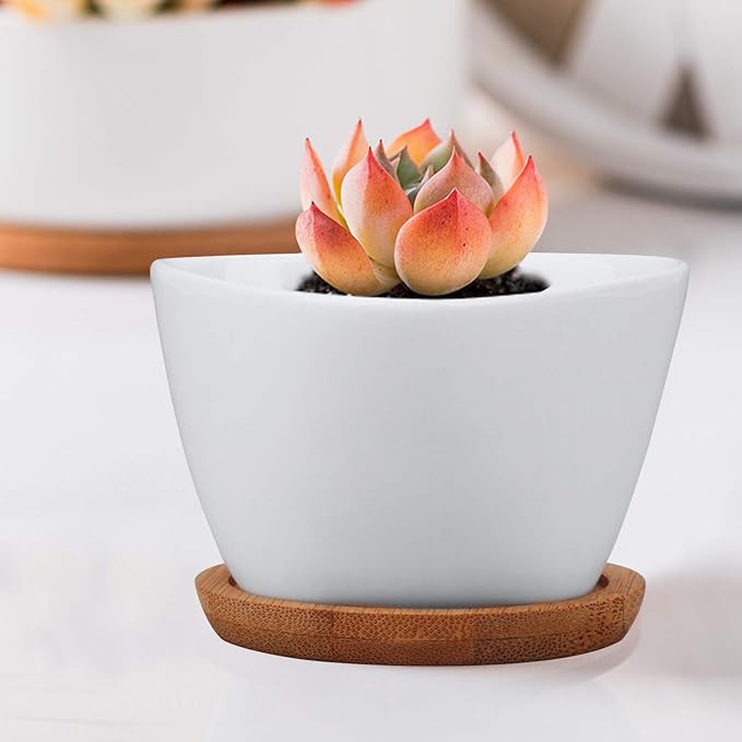 Brajttt Succluent Pots ，Small Flower Pots Planter Pots with Drinage,Ceramic Flowers Pots with Bamboo Tray for Cactus(12 Pack)
