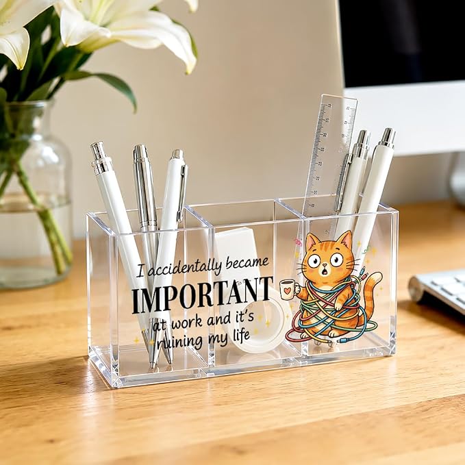 I Accidentally Became Important at Acrylic Pen Holder 3 Compartments, Funny Cat Burnout Clear Desktop Organizer for Office School Home, Office Humor Gifts for Cat Mom Friends Coworkers Boss