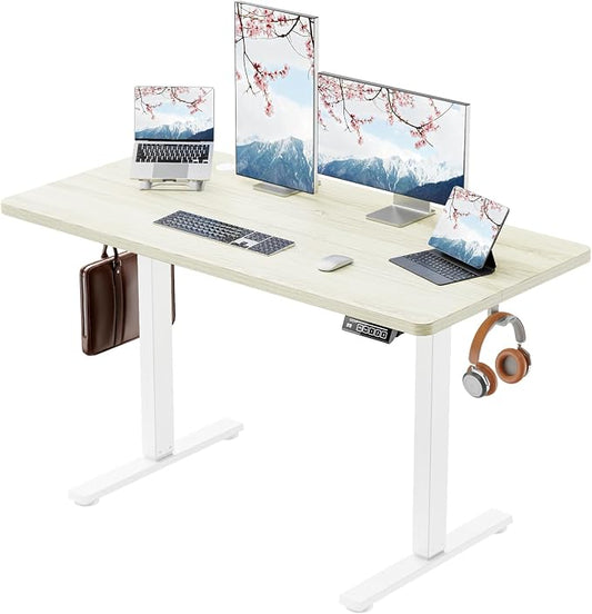 Standing Desk Electric Height Adjustable Desk 48 x 23.6 Inches Sit Stand up Desk, Computer Home Office Desk Memory Preset with Two-Piece Desktop (Natural, 48 * 24 Inch)