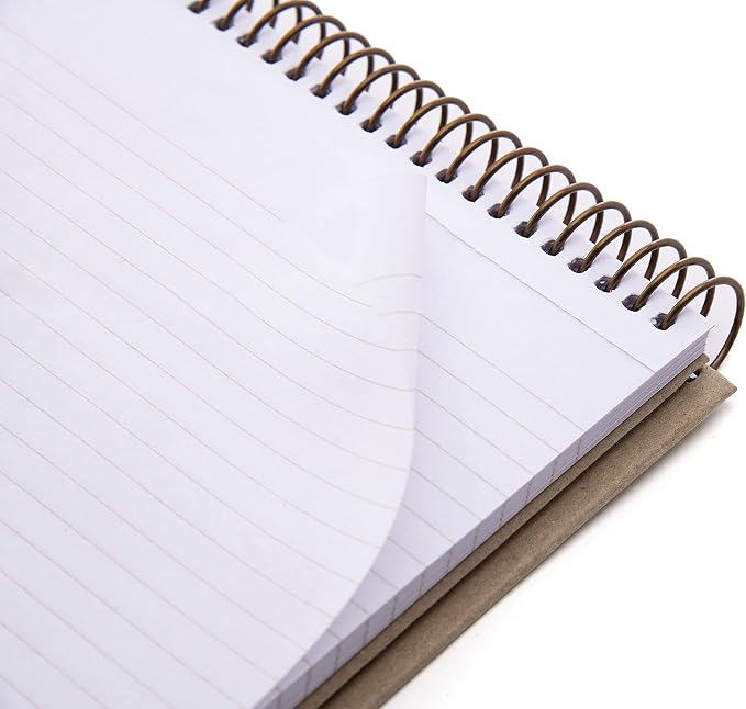 Mintra 100% Recycled Notebooks (Steno Book, Kraft Cover 3pk)