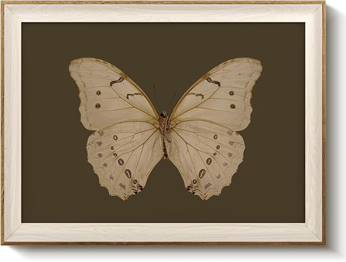 VIYYIEA Framed Butterfly Wall Art for Living Room, Vintage Cream Butterfly Canvas Painting, Rustic Nature Themed Picture Home Decor for Bathroom Bedroom Entryway, 12×16inch