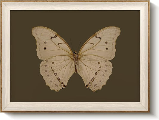 VIYYIEA Framed Butterfly Wall Art for Living Room, Vintage Cream Butterfly Canvas Painting, Rustic Nature Themed Picture Home Decor for Bathroom Bedroom Entryway, 12×16inch