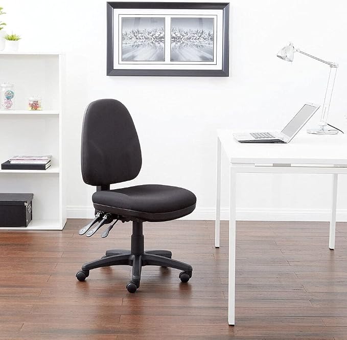 Office Star Ergonomic Dual Function Office Task Chair with Adjustable Padded Back and Built-in Lumbar Support, Armless, Diamond Wine Fabric