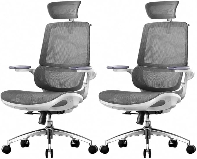 SIHOO M59AS Ergonomic Office Chair, Desk Chair with 3D Flip-up Armrests, Computer Chair with Dual Back Design and Adaptive Dynamic Lumbar Support, 2 Packs, Grey