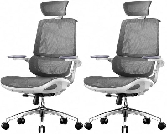 SIHOO M59AS Ergonomic Office Chair, Desk Chair with 3D Flip-up Armrests, Computer Chair with Dual Back Design and Adaptive Dynamic Lumbar Support, 2 Packs, Grey