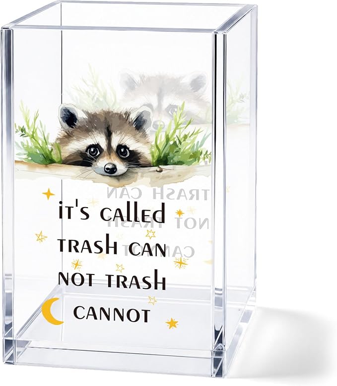 Acrylic Pen Holder Cup Funny Inspirational Desk Decor, Cute Raccoon Pencil Holder Organizer, Coworker Gift for Women Men, Office Accessories