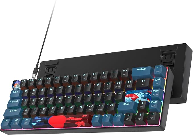 60 Percent Gaming Keyboard 68 Keys Mechanical Keyboard Rainbow Backlit Mini Compact Wired Keyboard with Red Switch for Windows Laptop Gamer(68 Monster-B)
