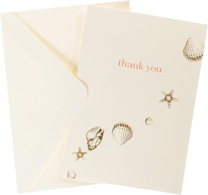 Graphique La Petite Presse Shells Thank You Notes | Blank Note Cards with Envelopes | 10 Count All Occasion Greeting Set | 3.25 x 4.75 Inches | High Quality Thick Paper Stationery with Unique Design
