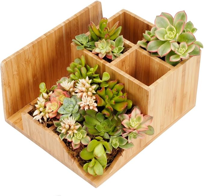 MobileVision Bamboo Multi-Function Desktop Organizer; Store stationary items like notepads, file folders, paperclips, business cards, pens, & more