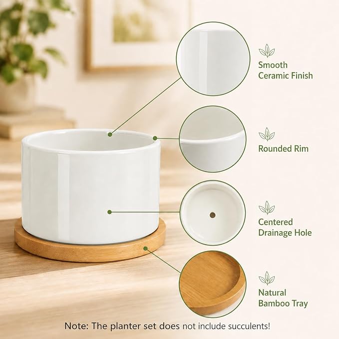 ZOUTOG Succulent Pots 3.15 Inch,4 Pack Succulent Planters,Small Pots for Plants with Drainage and Tray,White Ceramic Flower Planters for Indoor Plants,Home,Office,Desk