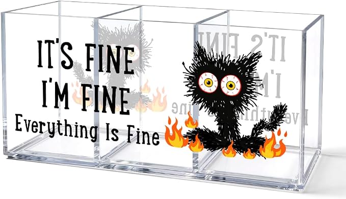 It's Fine 3 Compartment Acrylic Makeup Organizer & Pen Holder, Black Cat Cosmetic Storage Box for Lipstick Brushes Skincare, Desk Organizer for Office School Vanity, Office Gifts for Coworker