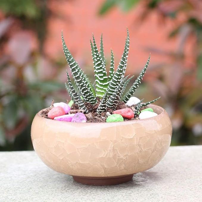Succulent Plant Pot, 12 Pcs 2.5 Inch Ceramic Ice Crack Cactus Plant Pot/Flower Pot/Container/Planter