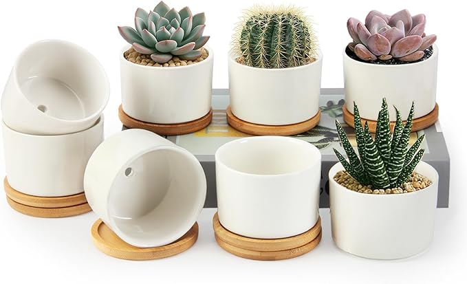 ZOUTOG Ceramic Succulent Pots 8 Pack,3.6 Inch Plant Pots,Succulent Planters with Drainage Hole & Bamboo Tray for Indoor Plants,White Small Flower Planters for Home,Office,Desk