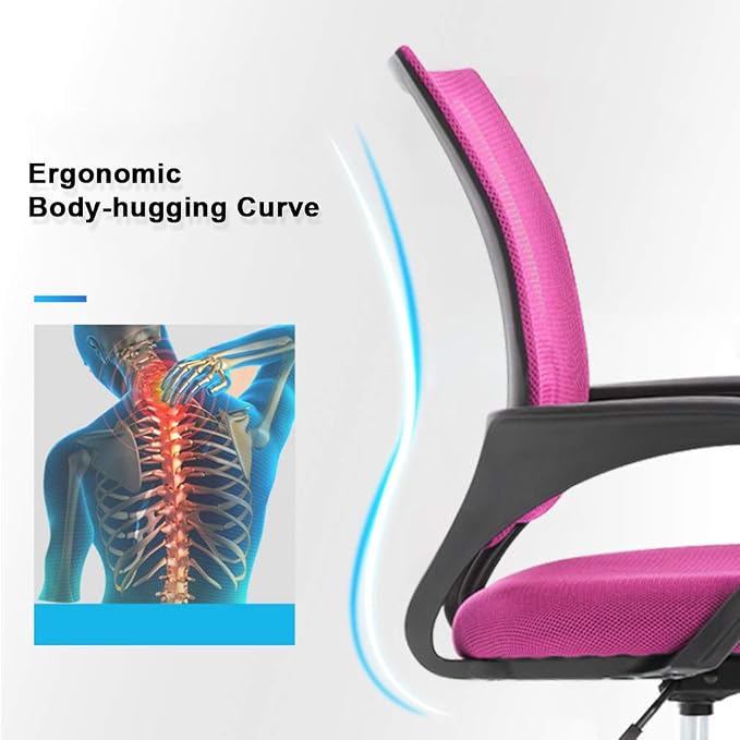 Office Chair Desk Chair Computer Chair Ergonomic Executive Swivel Rolling Chair with Lumbar Support,2 Pack
