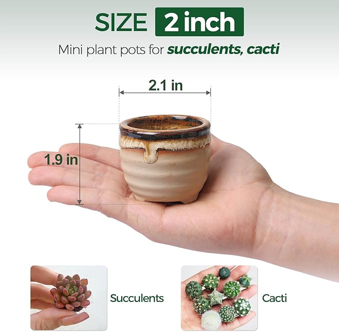T4U Mini Ceramic Succulent Pots Set of 6, Round Tiny Planters with Drainage Holes and Grid Pads, Small Cactus Flower Pots for Windowsill Desk Decor, Gift for Plant Lovers