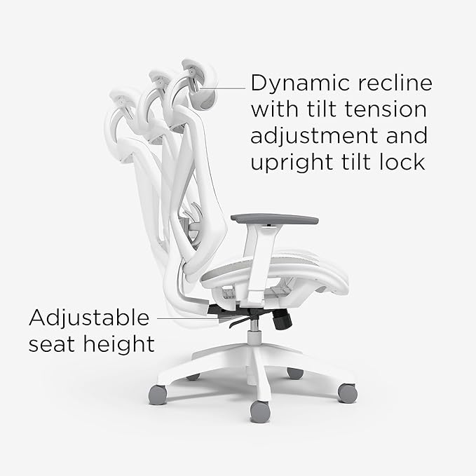 STAPLES Ergonomic Task Chair, Mesh, Ergonomic, Lumbar Support, Gray
