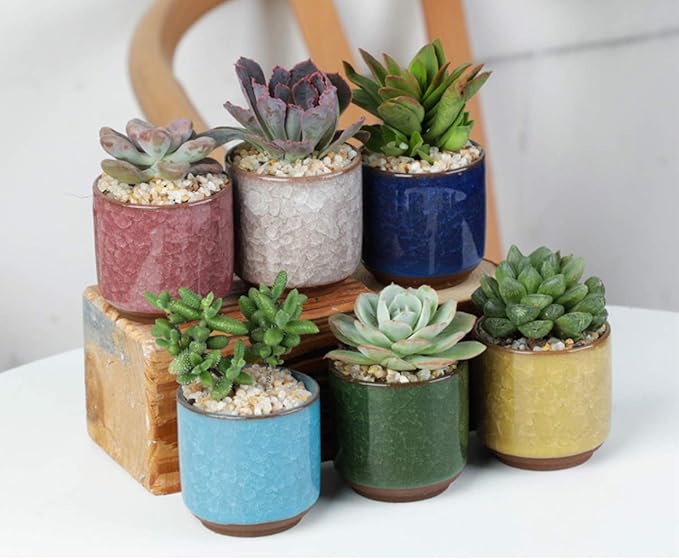 Lawei 8 Pack 2.5 Inch Mini Succulent Plant Pot with Drainage and Bamboo Tray, Small Ceramic Cactus Plant Pot, Flower Pots Faux Plants Containers for Home Garden Office Decoration(Plants NOT Included)