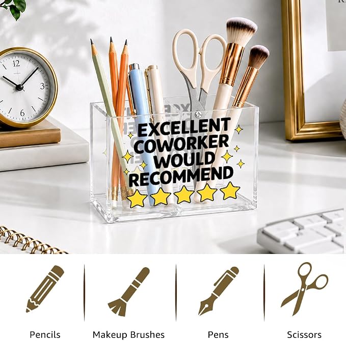 Excellent Coworker Would Recommend Cosmetic Organizer Pen Holder, Fun Pencil Holder 2 Compartments for Coworker, Office Desk Accessories for Storage, Sarcastic Office Gifts for Colleague Staff