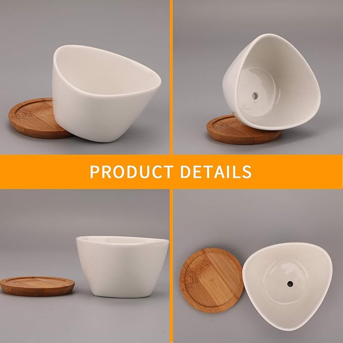 Brajttt Succluent Pots ，Small Flower Pots Planter Pots with Drinage,Ceramic Flowers Pots with Bamboo Tray for Cactus(12 Pack)