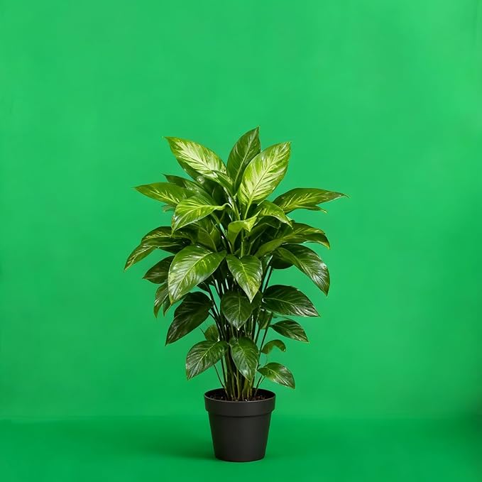Green Screen Backdrop 10x20ft Photo Backdrop Chromakey Muslin Portrait Green Backdrop for PS Keying/Video Creation/Studio Portrait Shoots