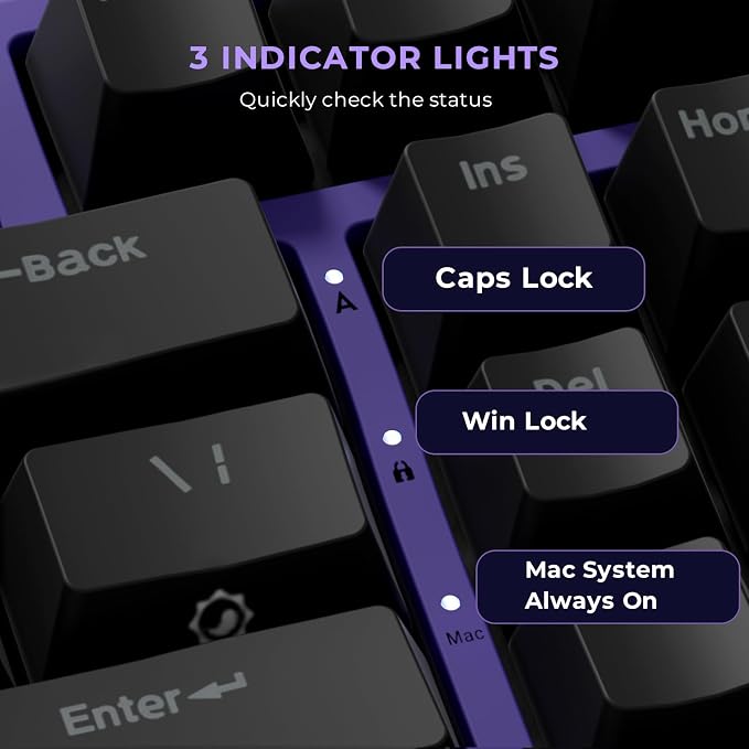 RK ROYAL KLUDGE X87 Mechanical Keyboard 75% Wired Keyboard Gaming with 86 Keys, Gasket Mount, Ice-Blue Backlight, Purple Shell Design, Software Support, Hot-Swappable Creamy Switch Black