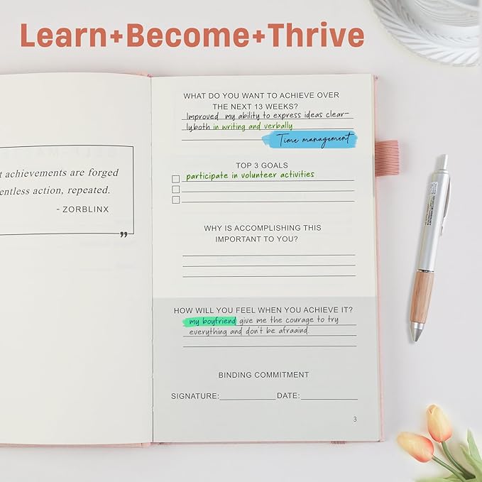 Productivity & Self-Mastery Journal for Women: Gratitude, Mental Health and Manifestation Diary for Mindfulness | Guided Daily Planner for Reflection, Positivity, Personal Growth and Self Care, Pink