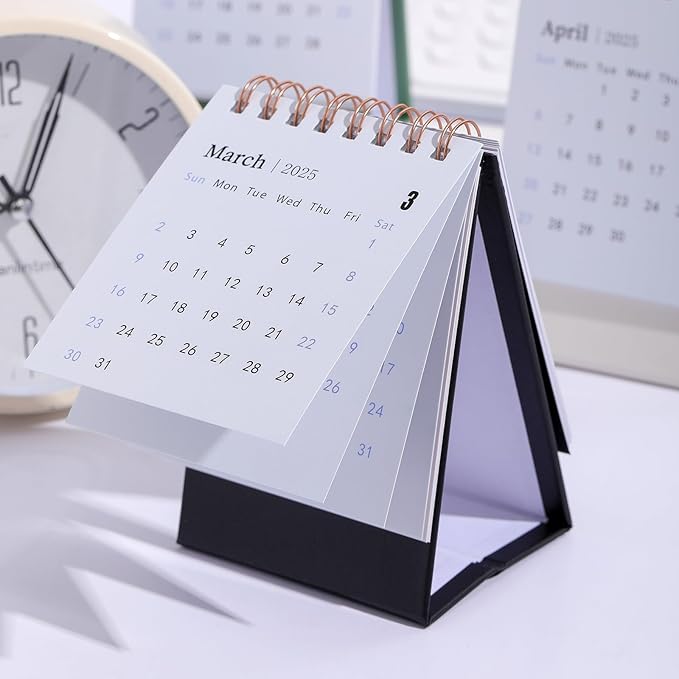 Mini Desk Calendar 2026, Standing Flip Small Desk Calendar- Jan 2026 to Jun 2027 Monthly Desktop Calendar- Thick Paper Twin-Wire Binding for Home or Office (Black)
