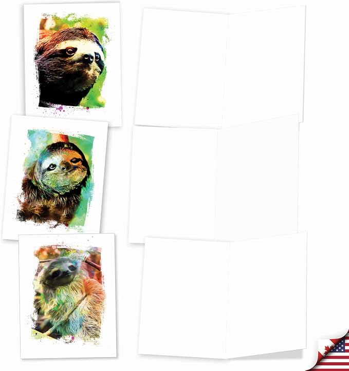The Best Card Company Animal Assorted Watercolor Blank Greeting Card Box Set - Incl. 10Unique Notecards Designs + Envelopes, Thank You, Invitations- Funky Rainbow Sloth AM6866OCB-B1x10