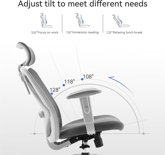 SIHOO M18 Ergonomic Office Chair, Computer Desk Chair with Adjustable Headrest and Lumbar Support, High Back Executive Swivel Chair for Home Office (Dark Gray)