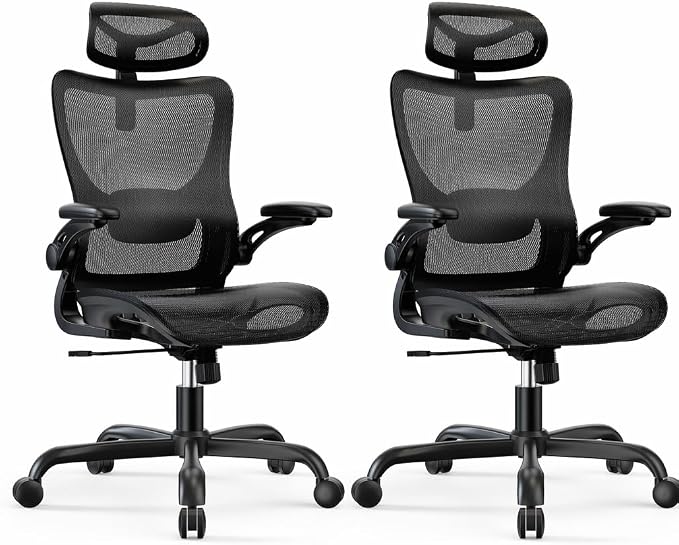 Marsail Ergonomic Mesh Office Chair with Adjustable Lumbar Support, 2 | 3D flip-up armrests, 2D headrest, breathable mesh back, reclining function, smooth-rolling casters, height adjustment
