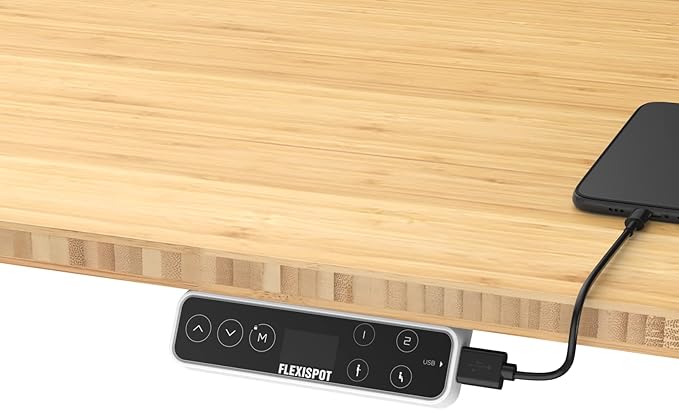 FLEXISPOT E6 Pro Oval Leg Dual Motor 3 Stages Bamboo Electric Standing Desk 72x30 Inch Whole-Piece Board Height Adjustable Electric Sit Stand Up Desk(White Frame + Bamboo Desktop)