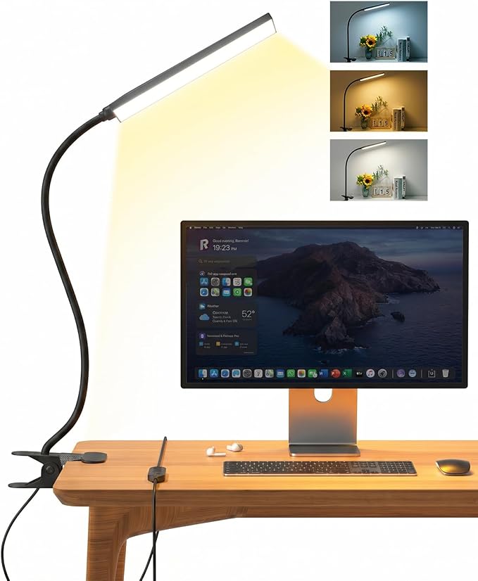 Eye-Caring Adjustable LED Reading Clamp Desk Lamp with 48 LEDs Flexible Neck, 3 Color Modes & 11 Brightness Levels for Office Bedroom Study (Black)