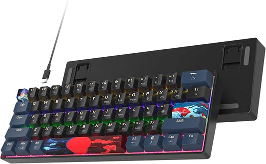 60 Percent Gaming Keyboard 61 Keys Mechanical Keyboard Rainbow Backlit Ultra Compact Wird Keyboard with Red Switches for Win Ps4/5 Xbox(61 Blue)