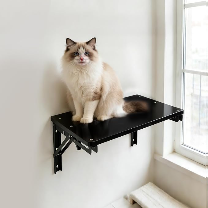 Folding Shelf Wall Mounted for Small Space, Black Wall Table for Living Room Bedroom Decor, Home Office Floating Fold Down Desk, Media Shelves with Heavy, 16.5"*11.8"