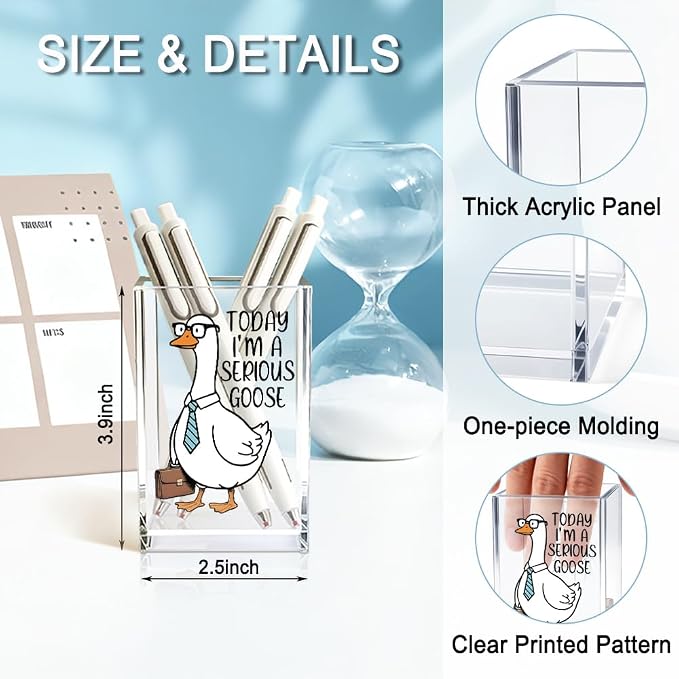 Today I'm A Serious Goose Acrylic Cosmetic Pencil Holder Cup, Funny Silly Goose Pen Holder Gifts For Women Men Friends HR Boss, Office Sarcastic Humor Gifts for Coworkers, Goose Lover Present
