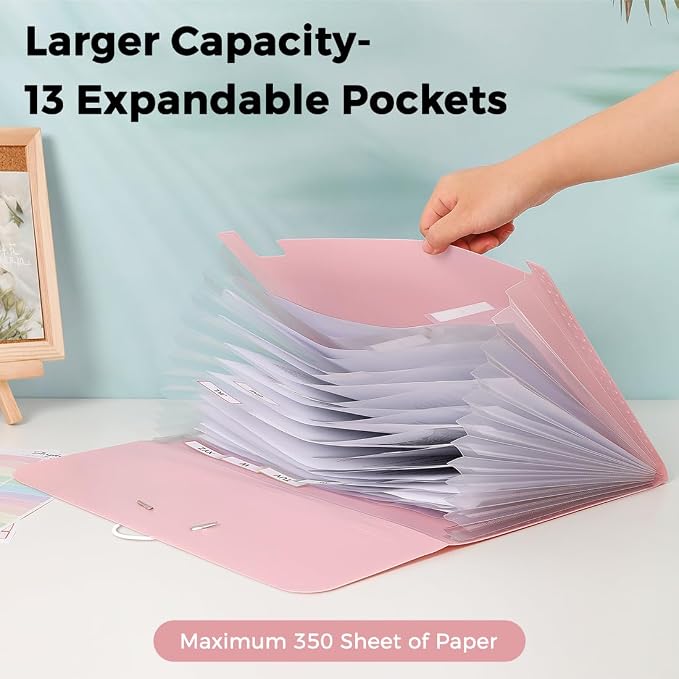 SKYDUE Expanding File Folder, Accordion File Organizer with 13 Pockets for A4/Letter Sized Paper, Accordion Folder with Labels - Document Receipt Organizer for Office, School, Home
