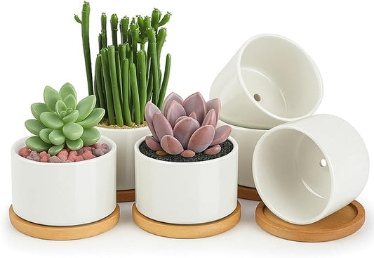 ZOUTOG Ceramic Succulent Pots,3.6 Inch Plant Pots,Succulent Planters with Drainage Hole & Bamboo Tray for Indoor Plants,White Small Flower Planters for Home,Office,Desk(6 Pack)