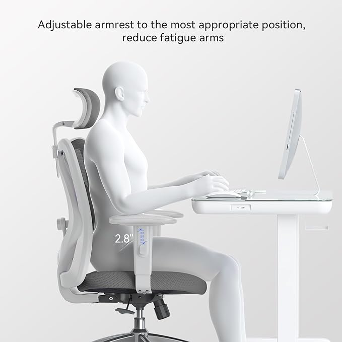 SIHOO M18 Ergonomic Office Chair, Computer Desk Chair with Adjustable Headrest and Lumbar Support, High Back Executive Swivel Chair for Home Office (Dark Gray)