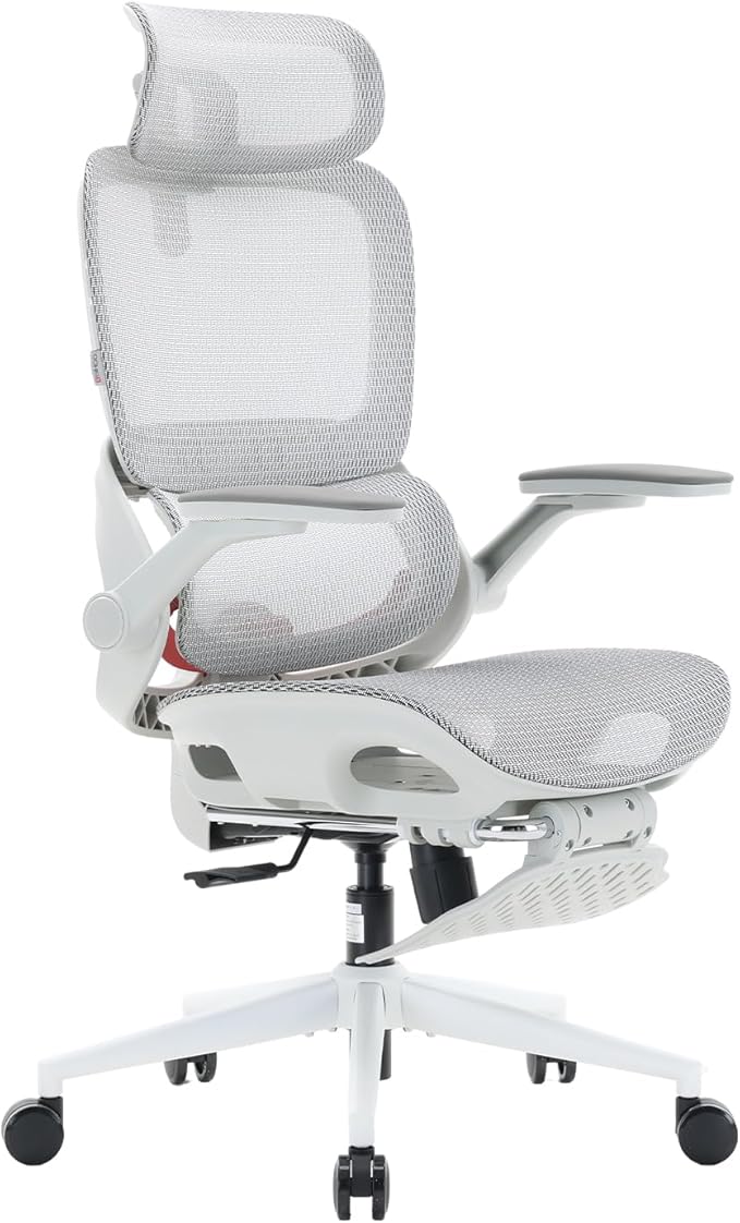 SIHOO B100 Pro Ergonomic Office Chair, Office Chair with Adaptive Lumbar Support, Computer Chair with Dual-Back, Desk Chair with 360° Rotatable & Flip-Up Armrests, 3D Wide Headrest, Light Grey