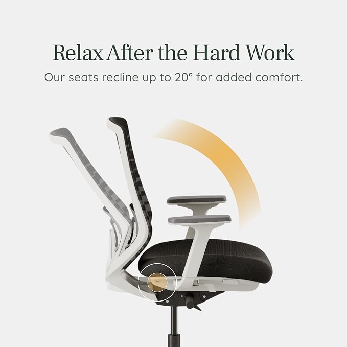 Branch Ergonomic Chair, Versatile Desk Chair with Adjustable Lumbar Support | Breathable Mesh Backrest and Smooth Wheels, Experience Optimal Comfort and Support, Pebble/White