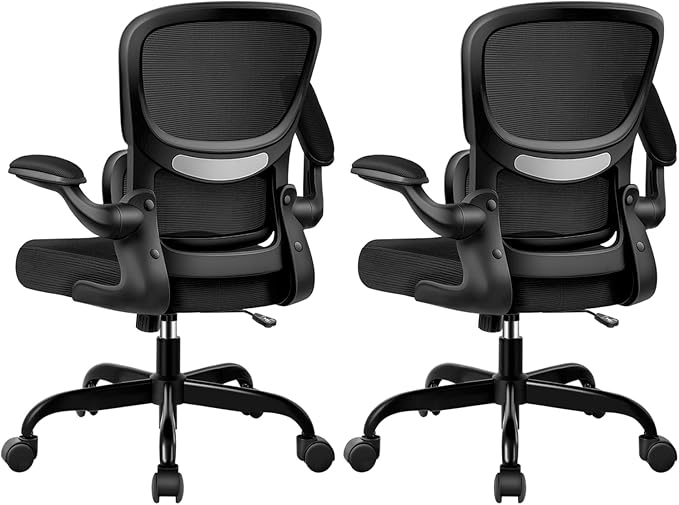 ALLGOD Ergonomic Office Chair, Breathable Mesh Ergonomic Desk Chair with Lumbar Support, Flip-up Armrests, Computer Chairs Comfortable for Home, Office, Work, Standard, 2 Pack