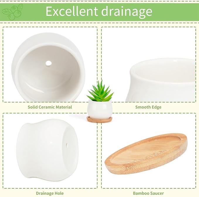 SHECIPIN 24 Pcs 2.5 Inch Small Succulent Pots with Drainage & Bamboo Trays - Assorted Small Succulent Planters Bulk for Home Office Garden Decor