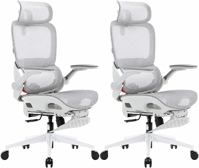 SIHOO B100 Pro Ergonomic Office Chair with Adaptive Lumbar Support, Computer Chair with Dual-Back, Desk Chair with 360° Rotatable & Flip-Up Armrests, 3D Wide Headrest, 2 Packs, Light Grey